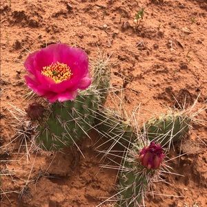 Meet your Posher, Christal